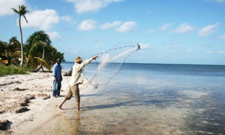 desert island fishing net Dr.Fish Telescoping Long Handle Landing 8.6ft 9.8ft The corrosion resistant Bainbridge Island company casts its