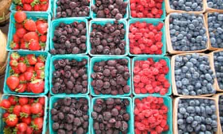 Raspberries blueberries, South Haven Michigan