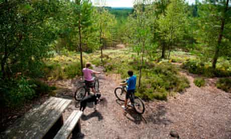 Moors Valley Country Park, Dorset
