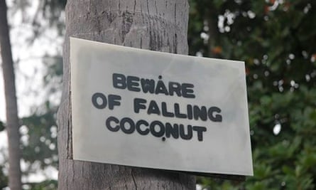 Beware of falling coconut sign