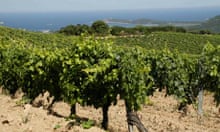 valpolicella winery visit