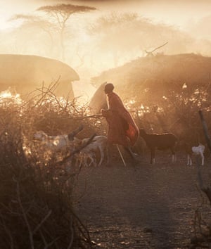 Travelling Light: Maasai village, Kenya by Philip Lee Harvey