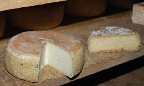 Ossau-Iraty cheese