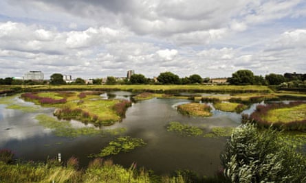 The London Wetlands Centre a Wildlife Reserve