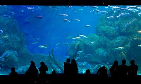 National Marine Aquarium in Plymouth