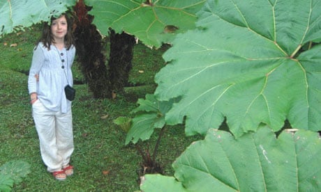 Lucy, the writer's daughter in the jungle in Costa Rica