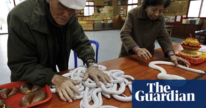 Chinese new year 1.26.09-13 Chinese New Year celebrations around the world – in pictures | Travel