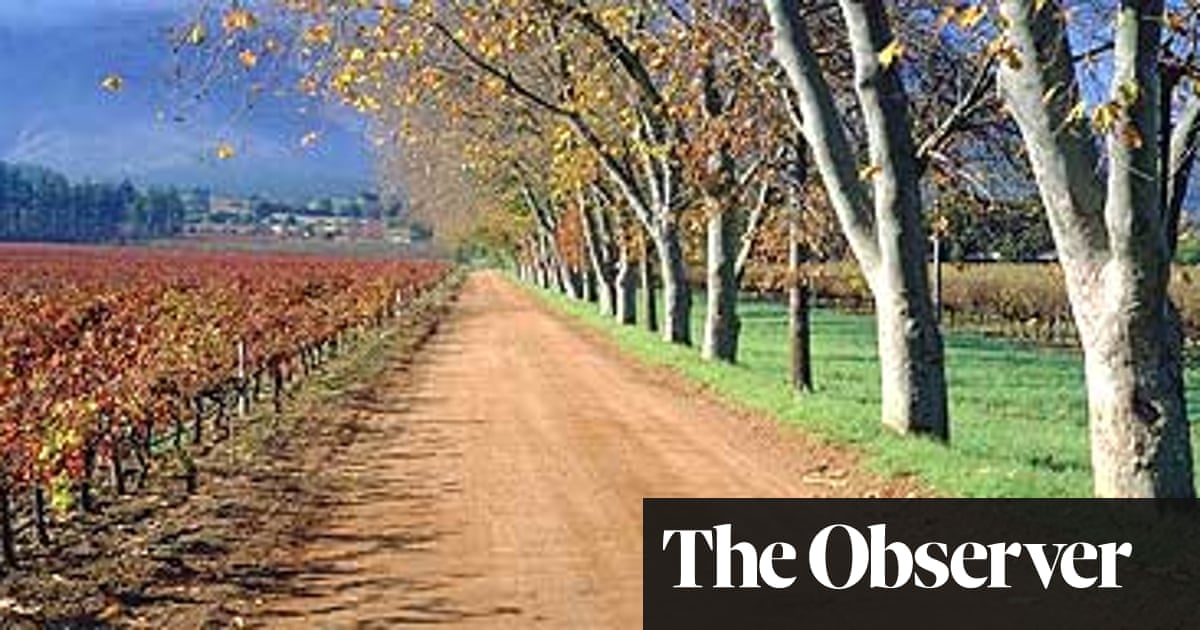 Cape Town City Guide Travel The Guardian