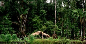 Papua New Guinea