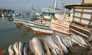 Going local in belm brazil  travel  the guardian Going local in belm brazil  travel  the guardian