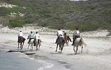 Horses on Ghignu beach, Desert des Agriates, Corsica