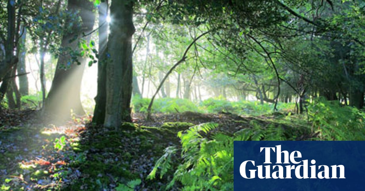 10 Top Uk Green Breaks Travel The Guardian