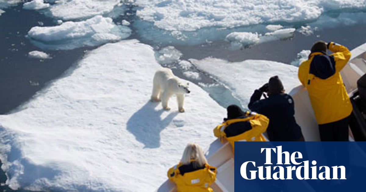 Freeze Frame Photographing Polar Bears Travel The Guardian