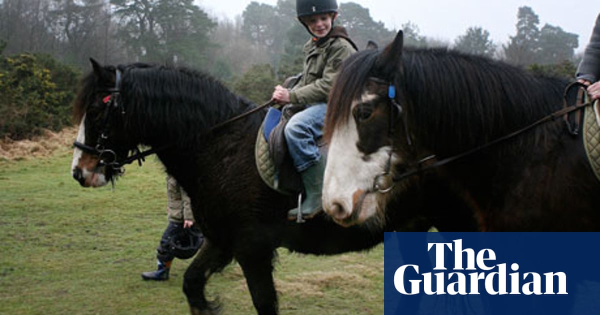 Horse Riding In Ashdown Forest Horse Riding Holidays The Guardian