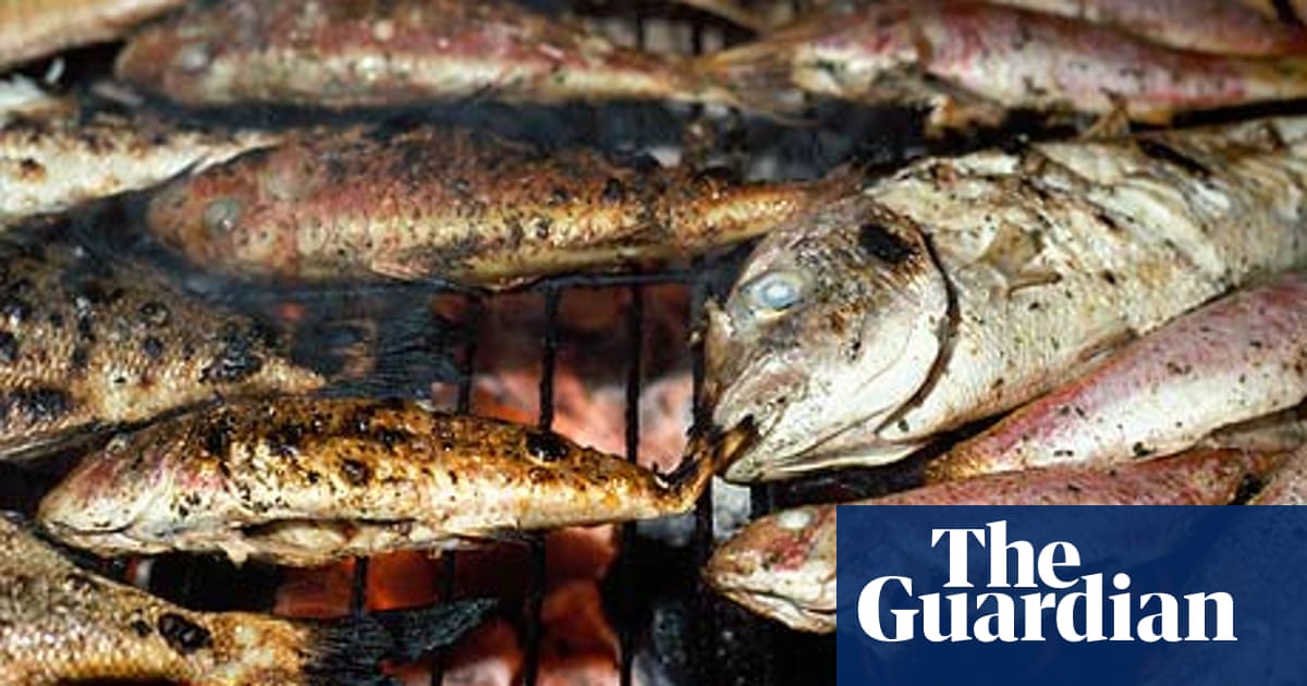 10 Of The Best Fish Restaurants In Istanbul Restaurants The Guardian