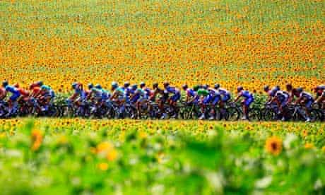 The Tour de France rides past sunflowers