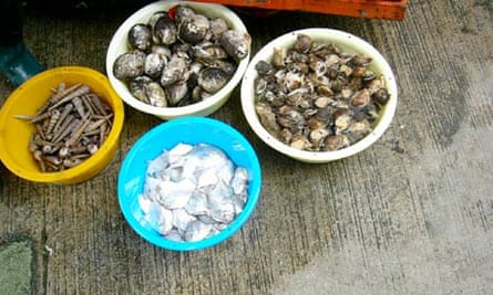 Shellfish on Lantau Island
