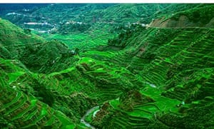 Rice terraces, northern Luzon, Philippines 