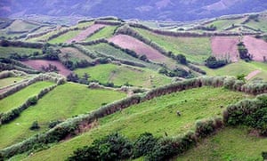 Batanes hills, Philippines