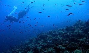 Apo Reef, Philippines