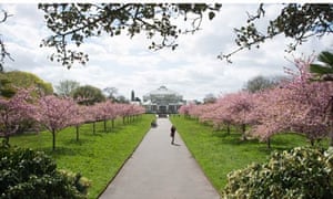 In Bloom The Uk S Best Gardens For Spring Flowers Travel The