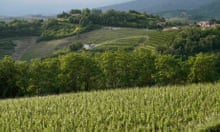 valpolicella winery visit