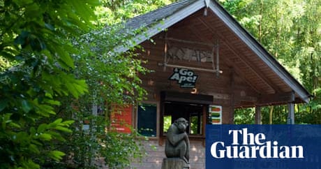England S Forests Go Ape At Bedgebury Travel The Guardian