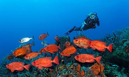 Scub diver, Tobago