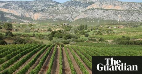 Sardinia wine route: top 10 guide