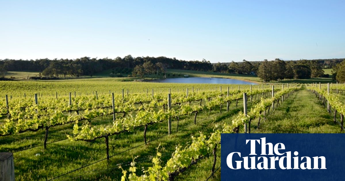 Margaret River Wine Route Top 10 Guide Western Australia Holidays The Guardian