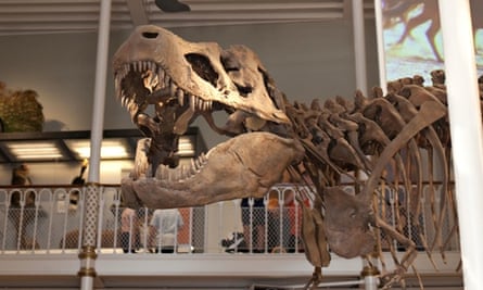 Dinosaur skeleton display at the National Museum of Scotland, Chambers Street, Edinburgh