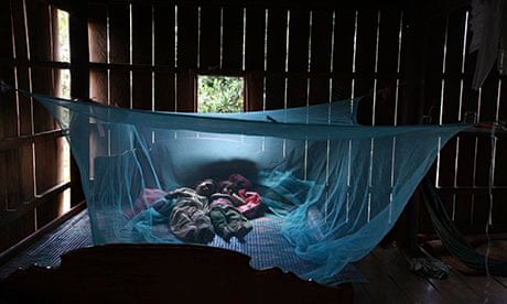 Mosquito Net Porn - Global Fund halts contracts over bribes for mosquito bednets in Cambodia |  Global Fund to Fight Aids, Tuberculosis and Malaria | The Guardian