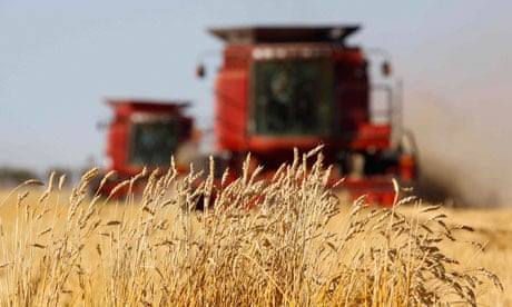 food prices wheat harvesting Alberta