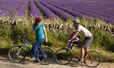 Family cycling near lavender fields in the Cotswolds