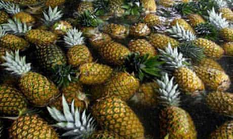 Costa Rica pineapples