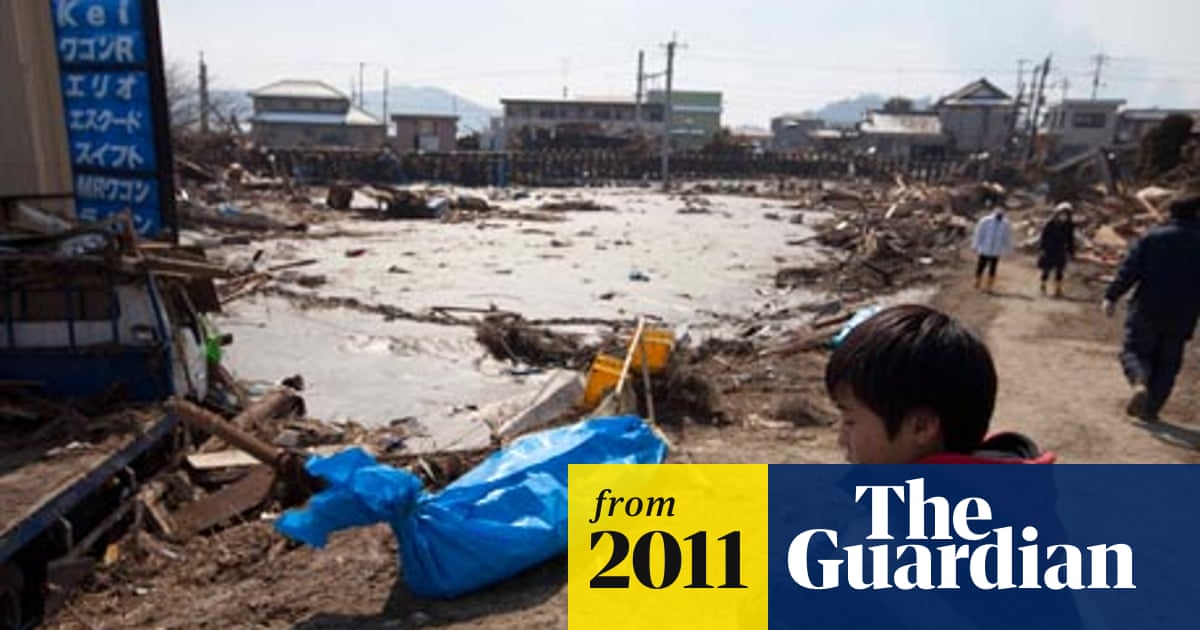 How Did Japan Survive Hurricanes: Secrets to Resilient Strength