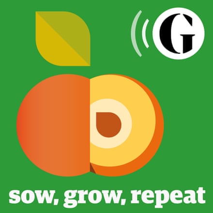 Sow, Grow, Repeat Series