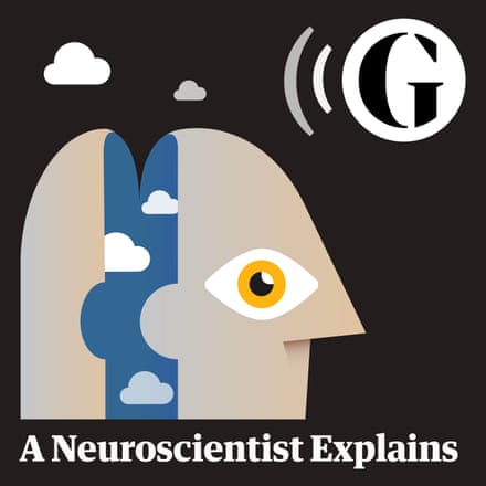 A Neuroscientist Explains Series