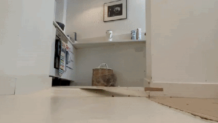 Friday briefing: Six lessons from three years of bringing you this newsletter | UK news Friday briefing: Six lessons from three years of bringing you this newsletter | UK news