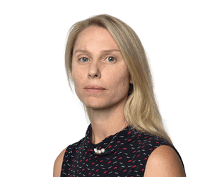 King penguins on Heard Island