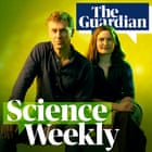 ‘Historic breakthrough’: could the fossil fuel era be coming to an end ...