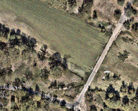 Green grass and tree image followed by flooded area image