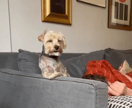 Friday briefing: Six lessons from three years of bringing you this newsletter | UK news Friday briefing: Six lessons from three years of bringing you this newsletter | UK news