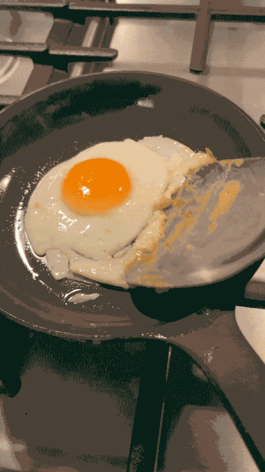 A video loop of a cooked egg being flipped.