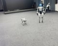 Unitree robot dog and boxer – loop