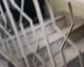 «Πήγαινε μέσα, θα σε σκοτώσει»: Ισραηλινοί μαχητές εντείνουν τις επιθέσεις στα σχολεία της Δυτικής Όχθης