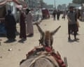 Palestinians travel by donkey because of Gaza oil shortages