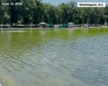 Algae turns reflecting excavation greenish aft Trump renewal - loop