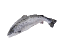 A silver fish jumping up and down