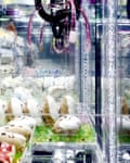 Claw machines in Hong Kong